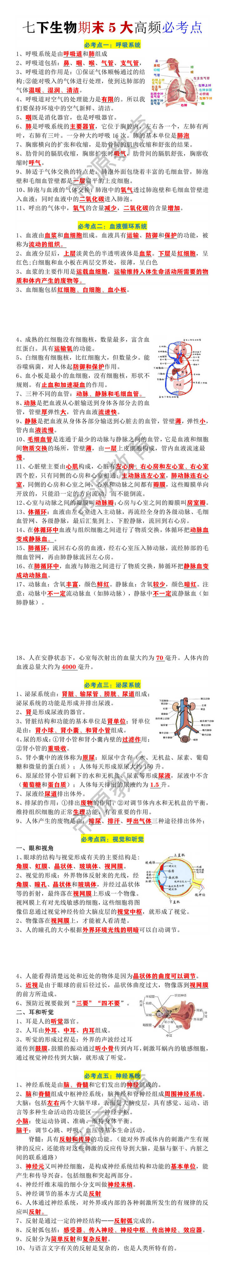 七年级下册生物期末5大高频必考点