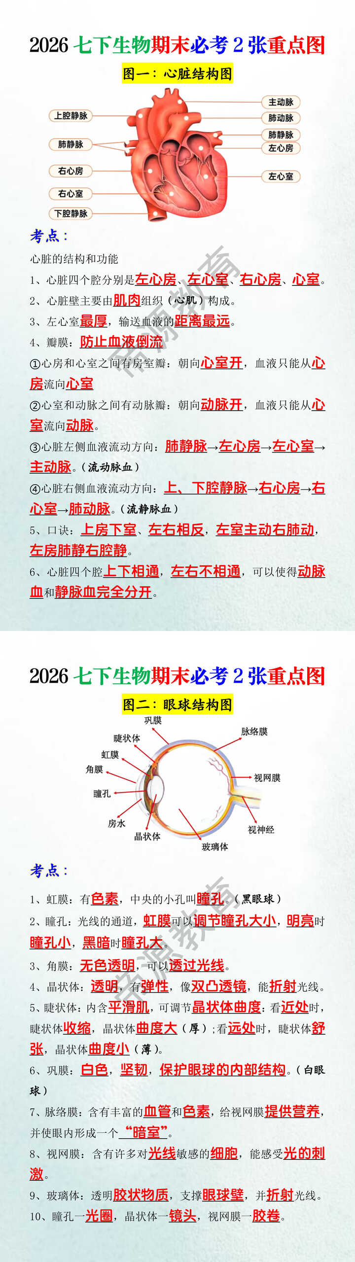 2026七下生物期末必考2张重点图