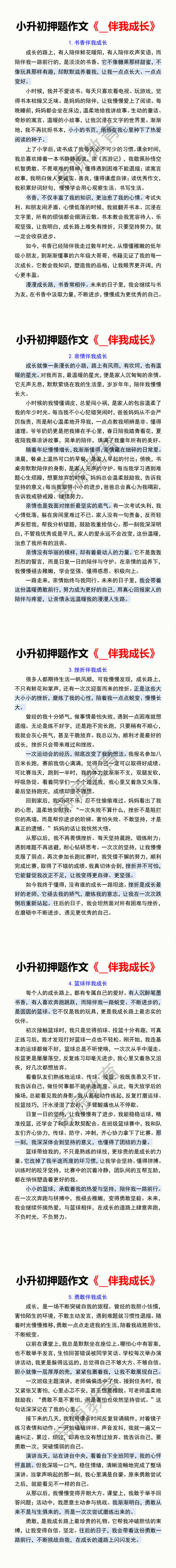 小升初押题作文《__伴我成长》
