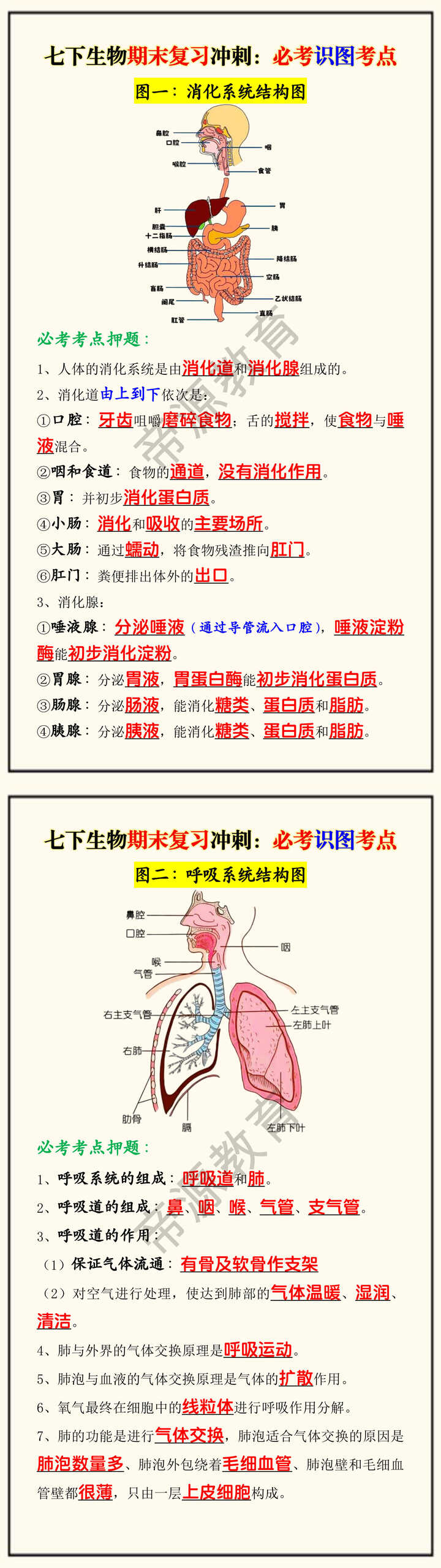 七下生物期末复习冲刺:必考识图考点 七下生物期末复习冲刺:必考识图考点