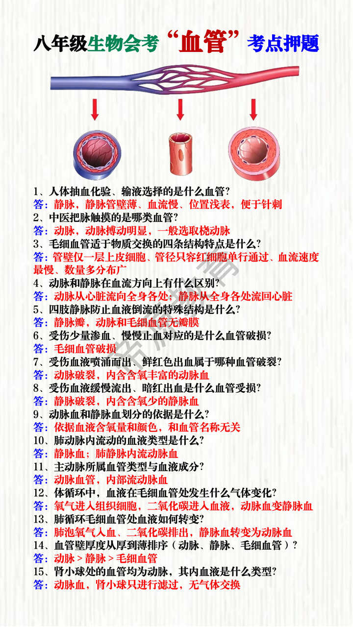八年级生物会考“血管”考点押题