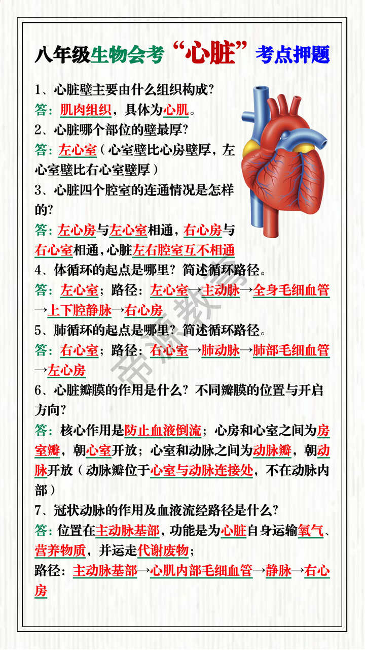 八年级生物会考“心脏”考点押题