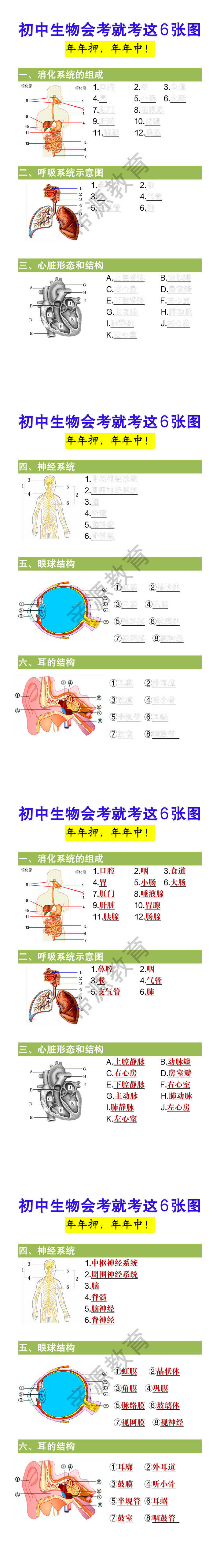 初中生物会考6大必考图