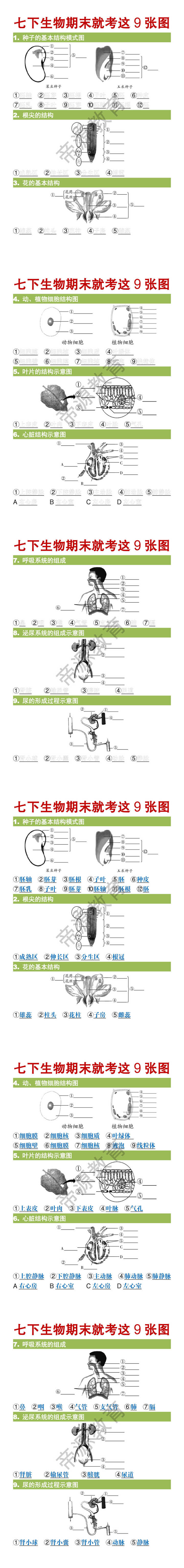 七年级下册生物期末9大必考图