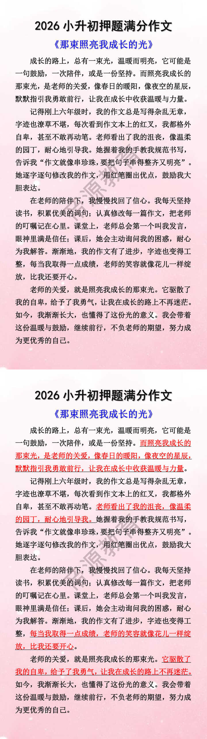 2026小升初押题满分作文