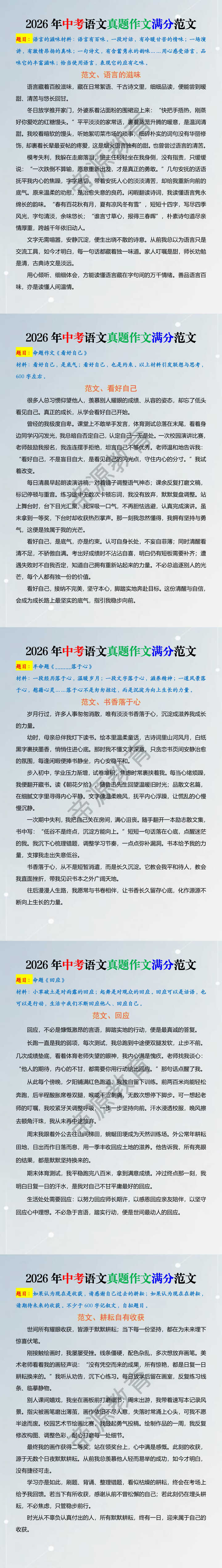 2026年中考语文真题作文满分范文