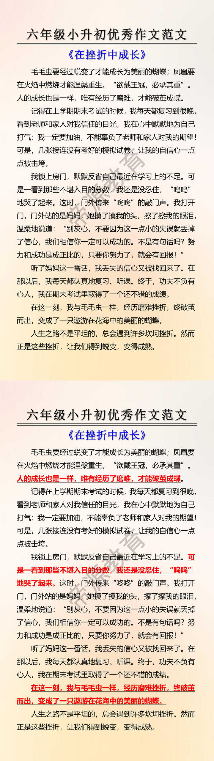 六年级小升初优秀作文范文