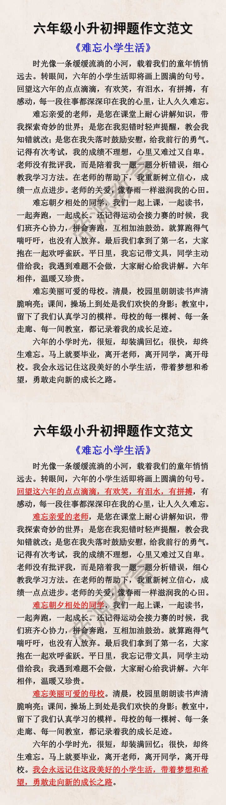 六年级小升初押题作文范文
