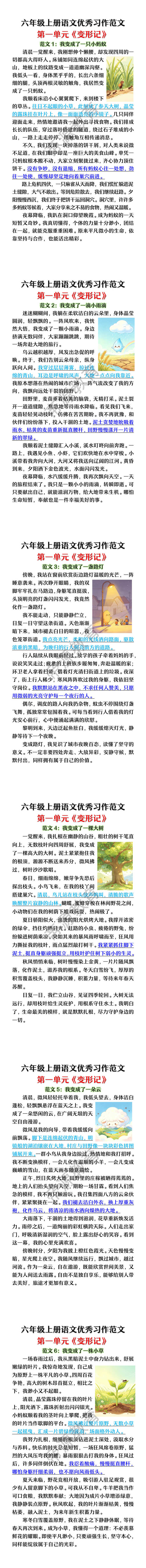 六年级上册语文第一单元《变形记》优秀习作范文