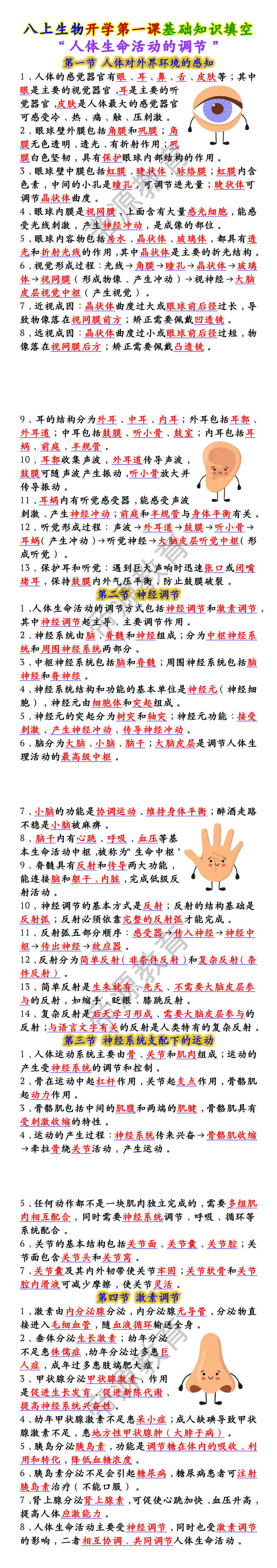 八上生物开学第一课“人体生命活动的调节”基础知识填空
