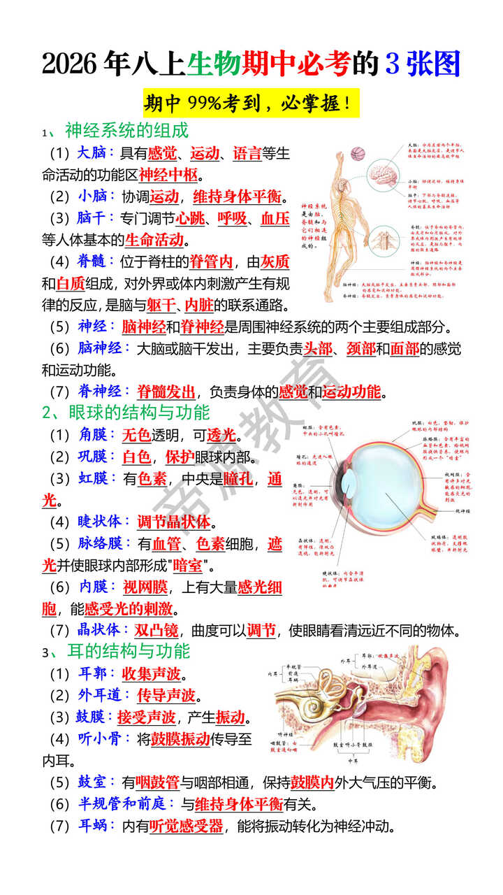 2026年八上生物期中必考的3张图