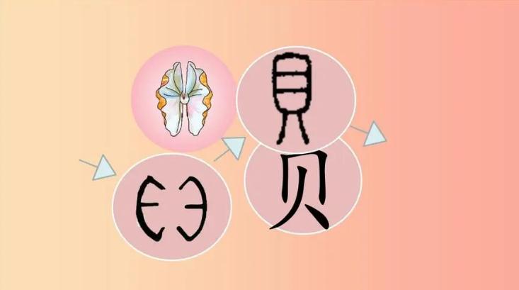 二年级语文下册贝的故事上课笔记知识点考前归纳 二年级语文下册贝的故事上课笔记知识点考前归纳