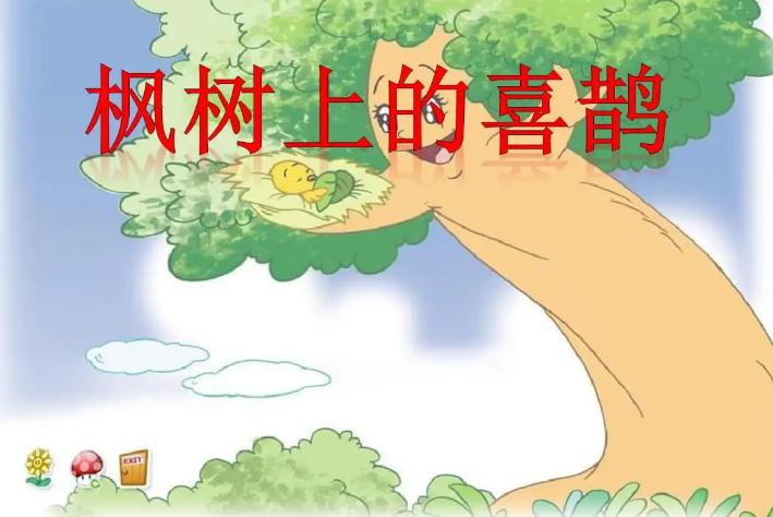 枫树上的喜鹊 枫树上的喜鹊