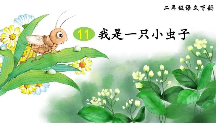 我是一只小虫子 我是一只小虫子