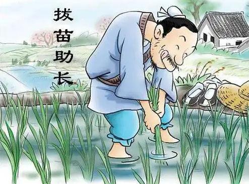 拔苗助长 拔苗助长