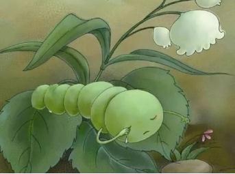 二年级语文下册22课小毛虫上课笔记内容详解