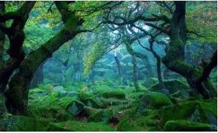 二年级语文下册23课祖先的摇篮课堂笔记内容