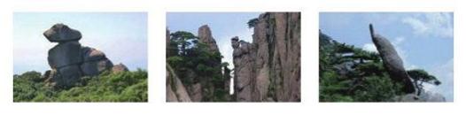 读句子，用加点的词语说说图片里的石头，再选一张图片写下来。