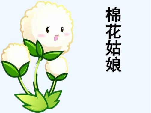 棉花姑娘课堂笔记 棉花姑娘课堂笔记