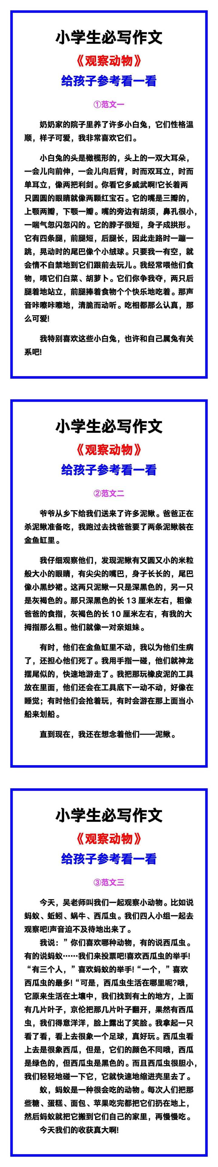 小学生必写作文《观察动物》范文素材，给孩子参考！