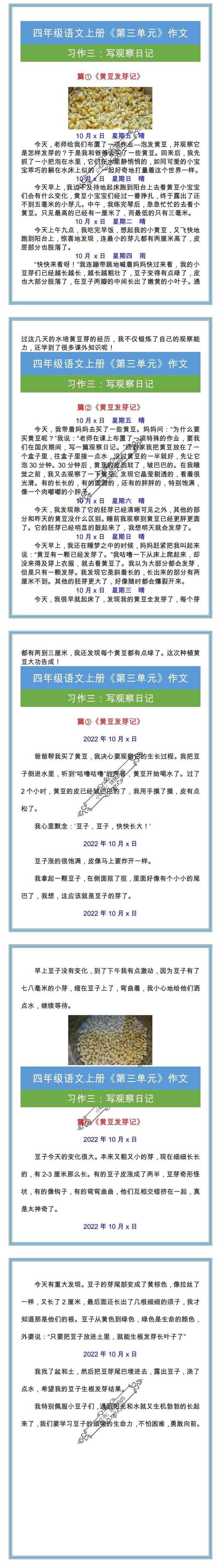 四年级上册习作三《黄豆发芽记》观察范文四篇