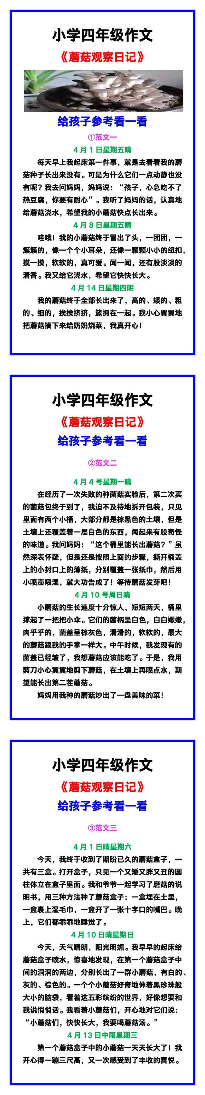 小学四年级作文《蘑菇观察日记》范文素材，给孩子参考！