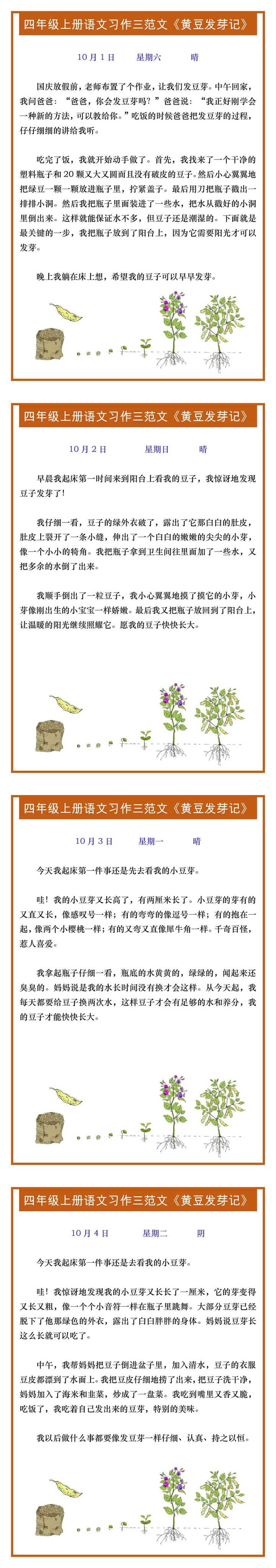 四年级上册语文习作三范文《黄豆发芽记》