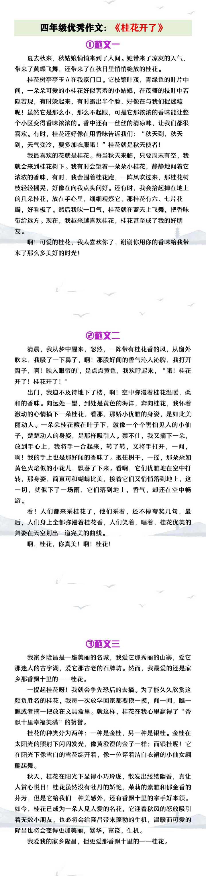 四年级优秀作文《桂花开了》优秀范文