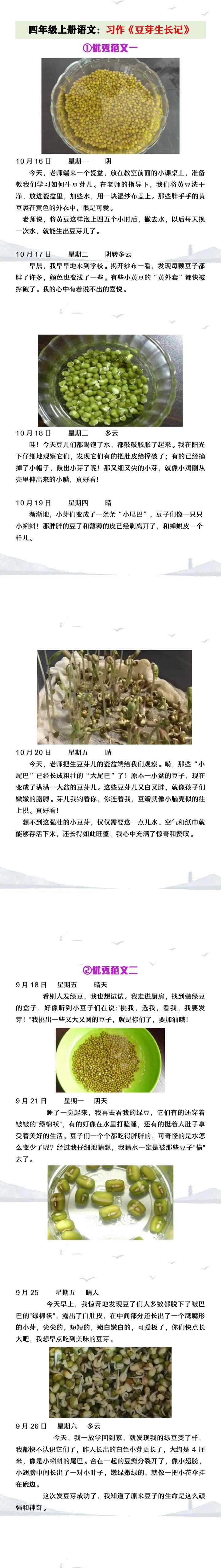 四年级上册语文习作《豆芽生长记》范文
