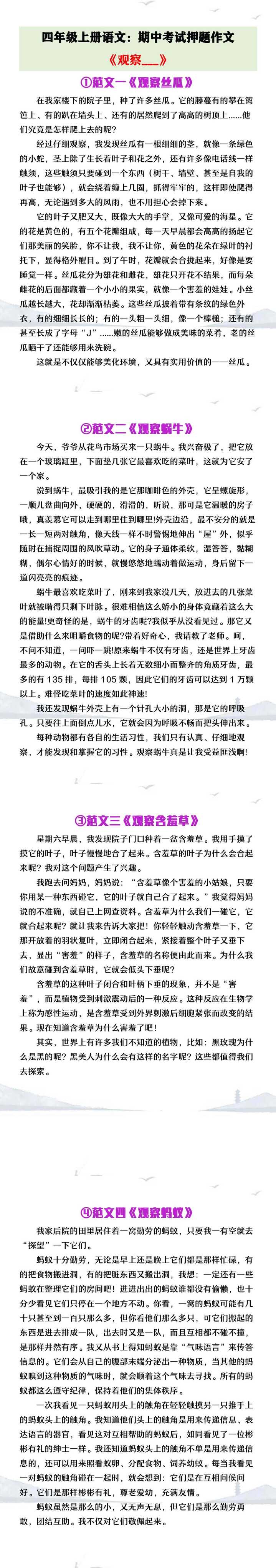 四年级上册语文期中押题作文《观察__》