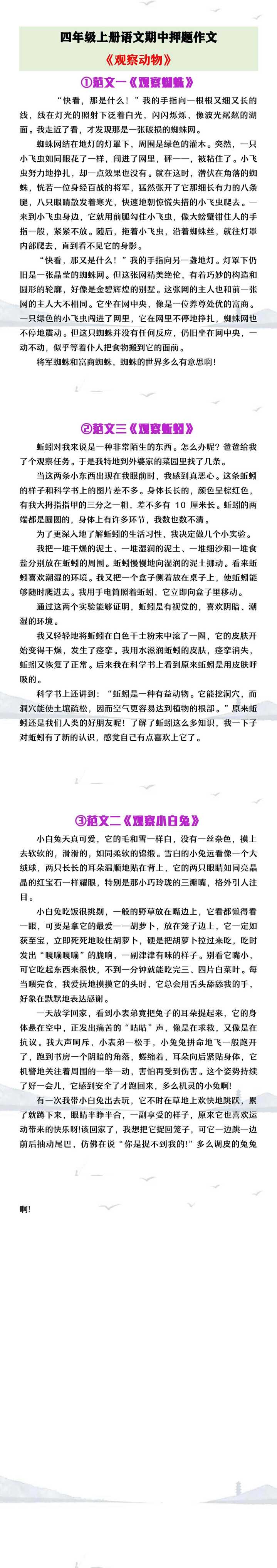 四年级上册语文期中押题作文《观察动物》范文