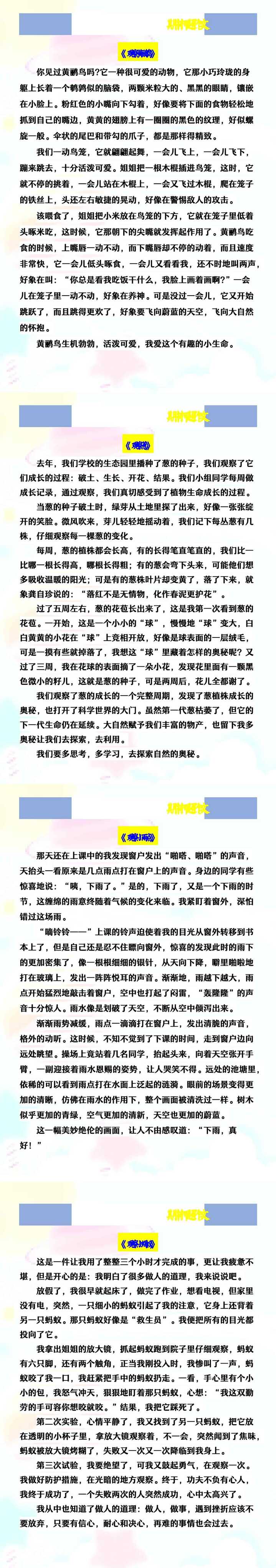 四年级上册语文《观察__》期中押题作文