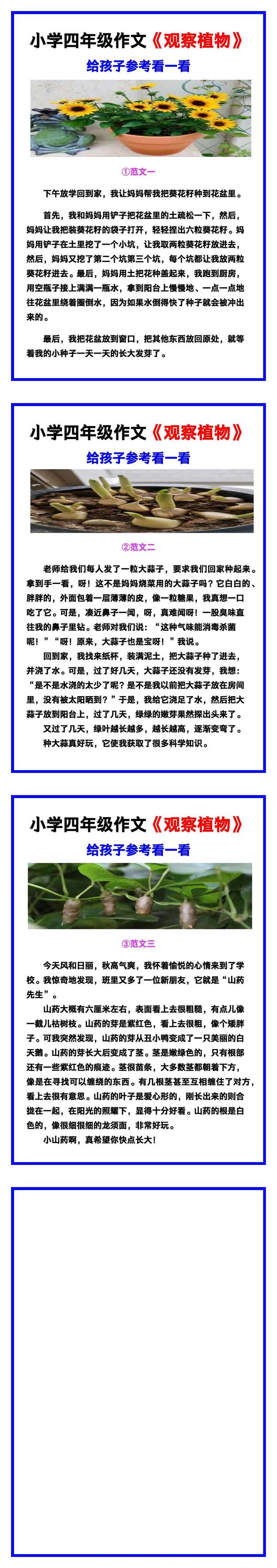 小学四年级作文《观察植物》范文素材，给孩子参考！