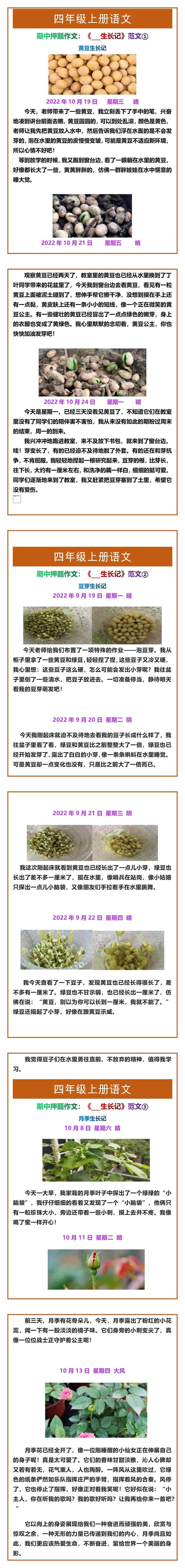 四年级上册语文期中押题作文：《___生长记》范文