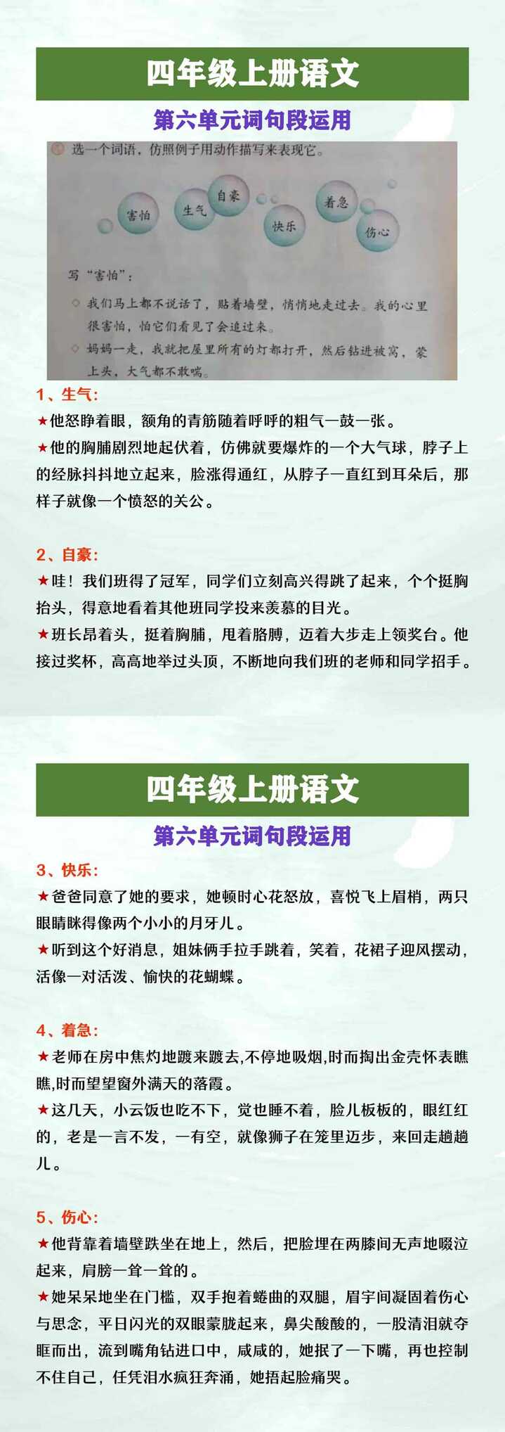 四年级上册语文第六单元词句段运用