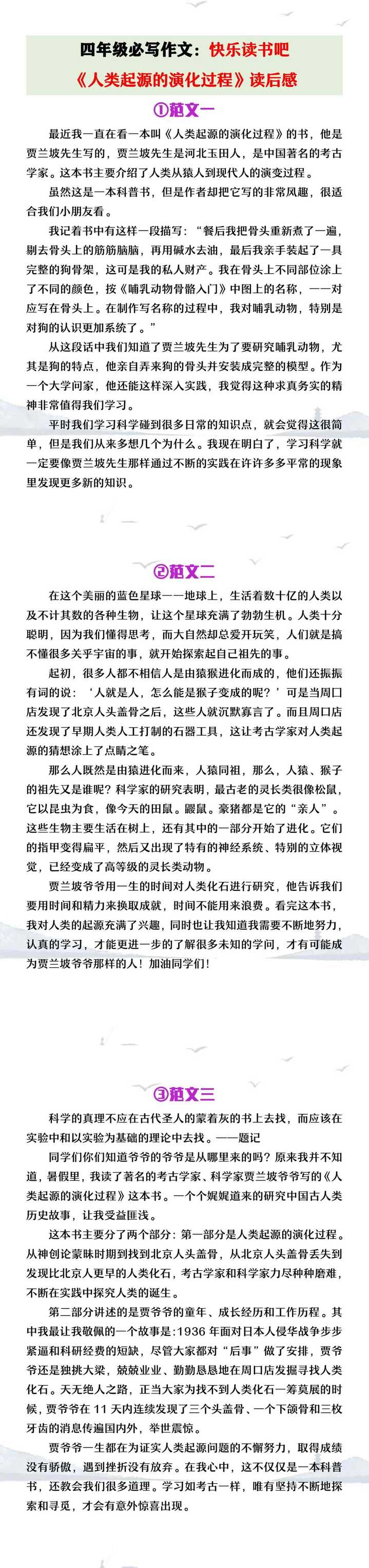 四年级必写作文《人类起源的演化过程》读后感
