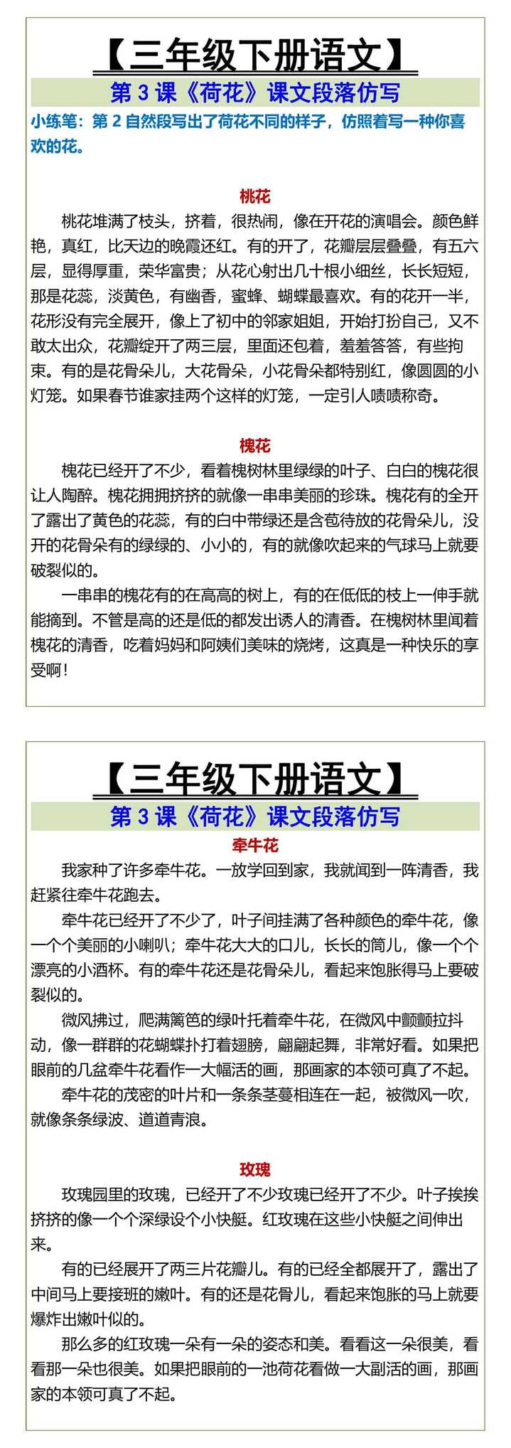 三年级下册语文《荷花》课文段落仿写