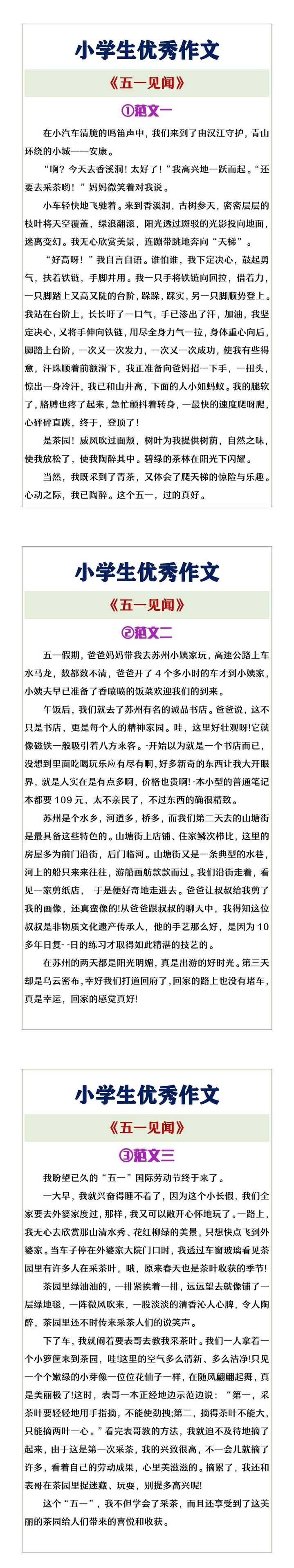 小学生优秀作文《五一见闻》