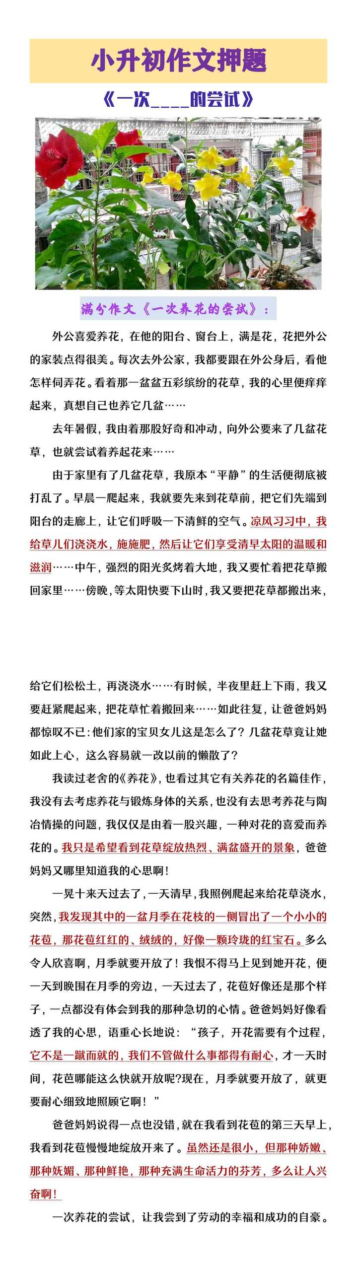 小升初作文押题《一次 的尝试》
