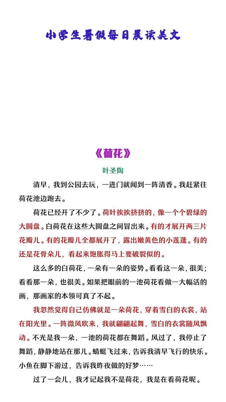 小学生暑假每日晨读美文：叶圣陶《荷花》