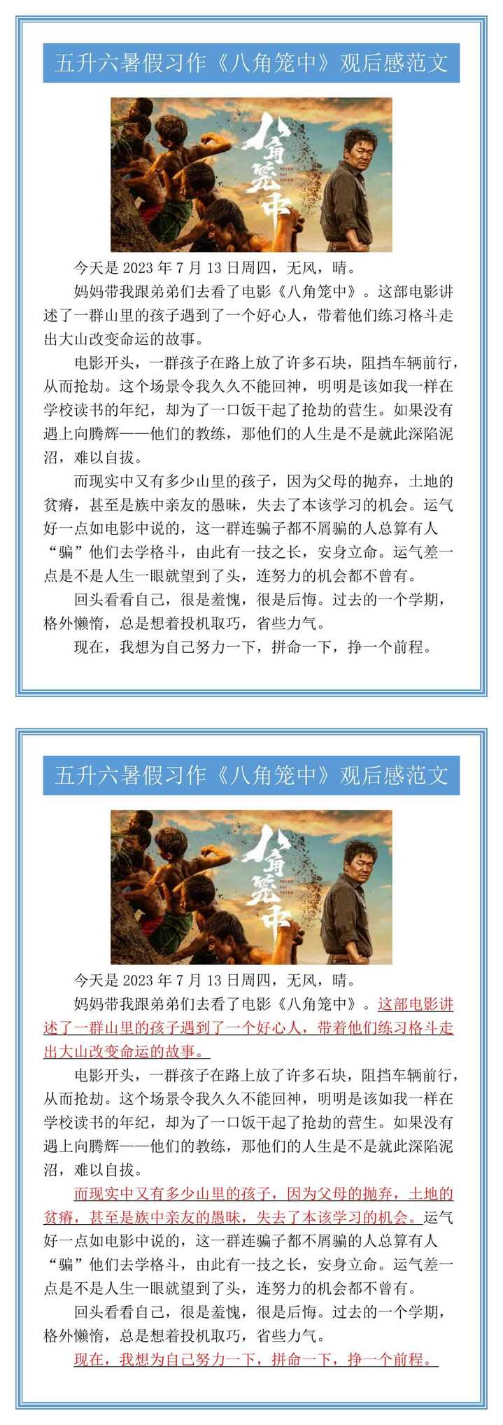 五升六暑假习作《八角笼中》观后感范文