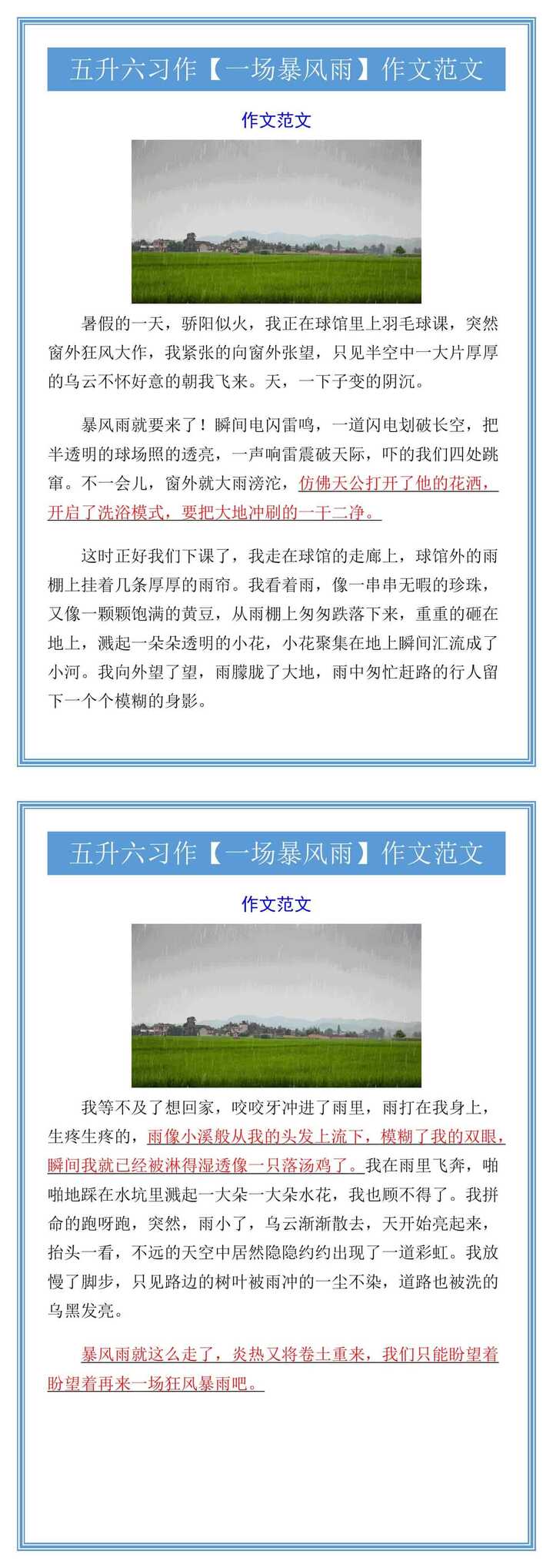 五升六习作【一场暴风雨】作文范文