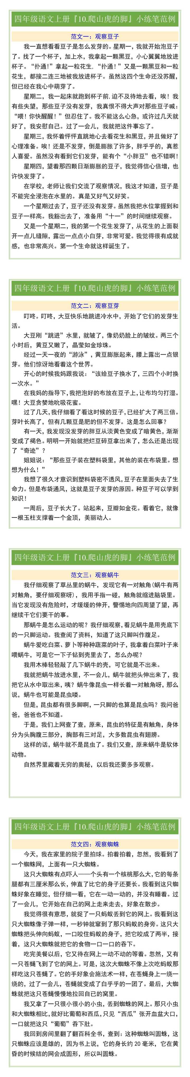 四年级语文上册『10.爬山虎的脚』小练笔范例