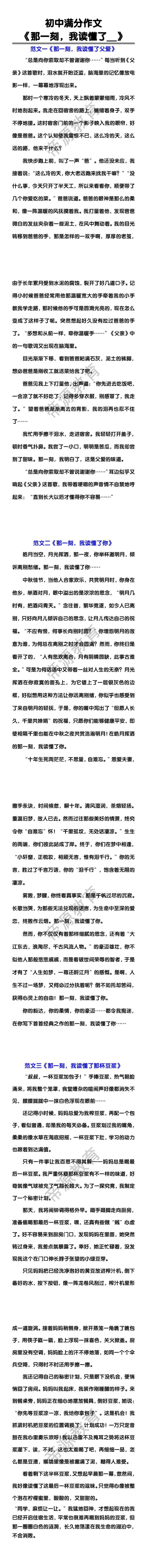 初中满分作文《那一刻，我读懂了__》