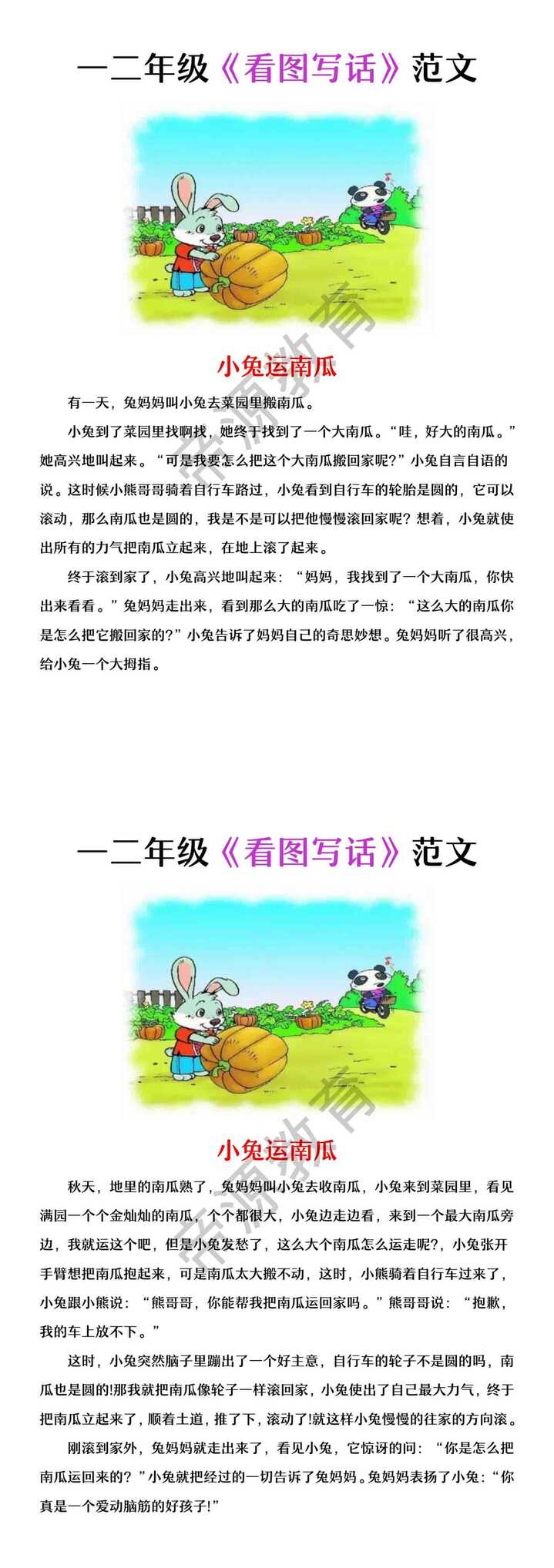 一二年级看图写话 | 小兔子运南瓜
