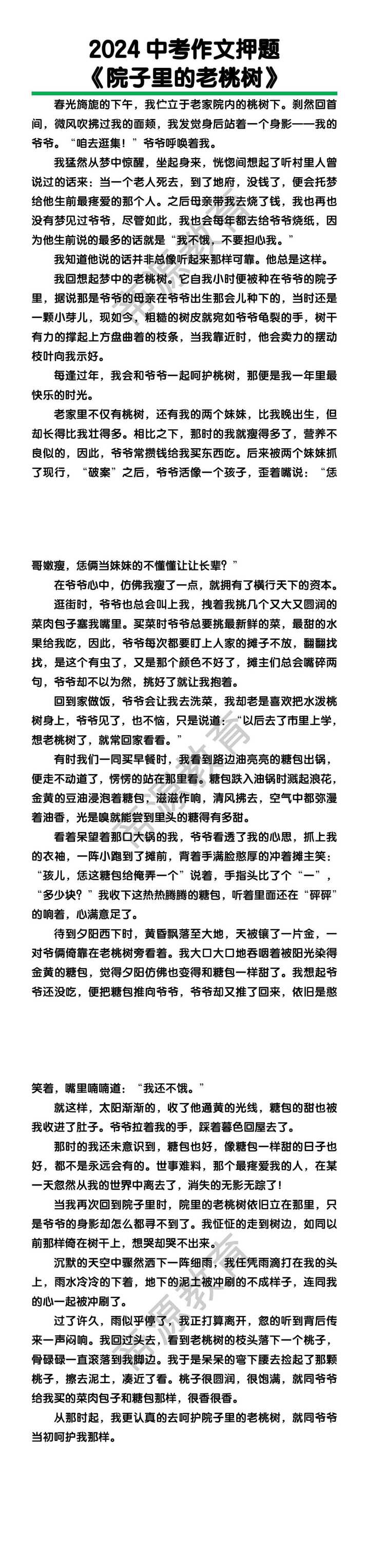 中考作文押题《院子里的老桃树》