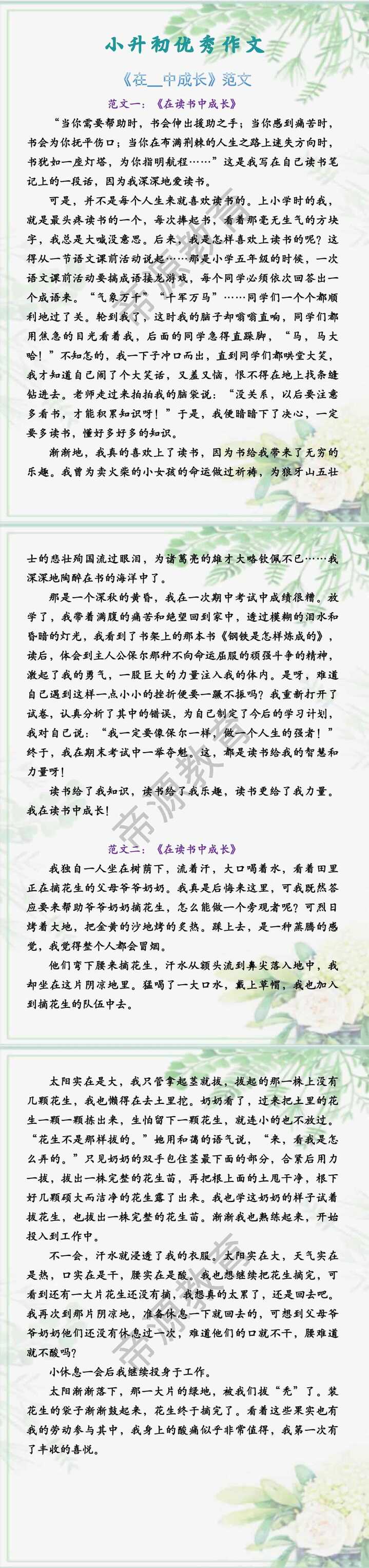 小升初优秀作文 《在__中成长》范文