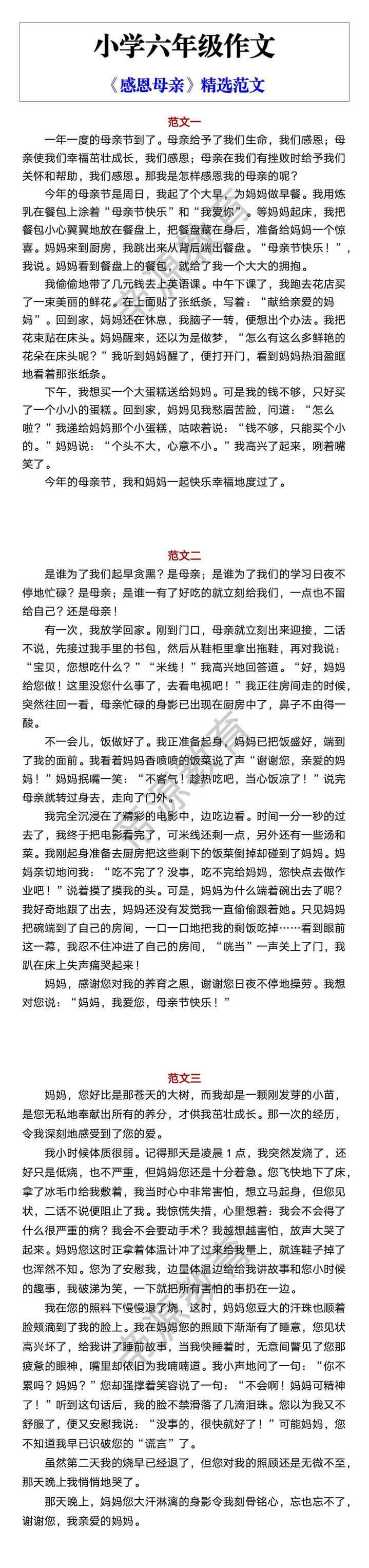 小学六年级作文 《感恩母亲》精选范文