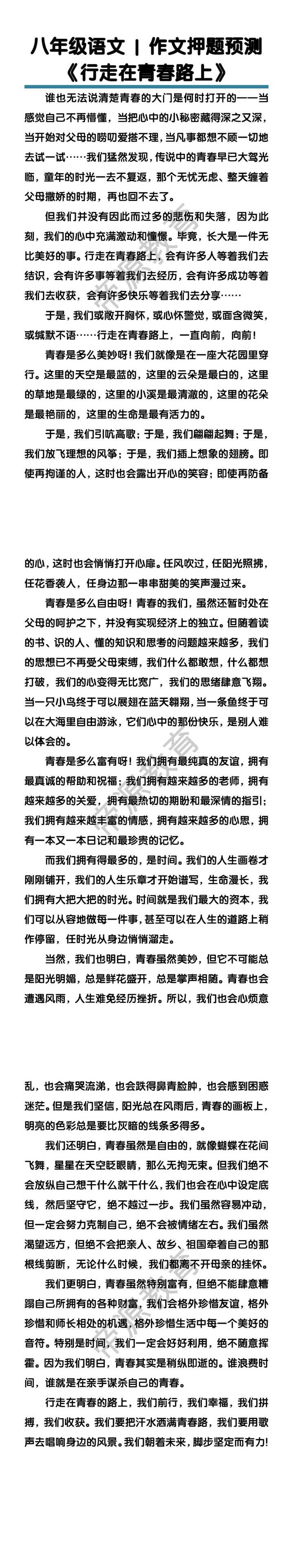 八年级语文作文押题预测《行走在青春路上》
