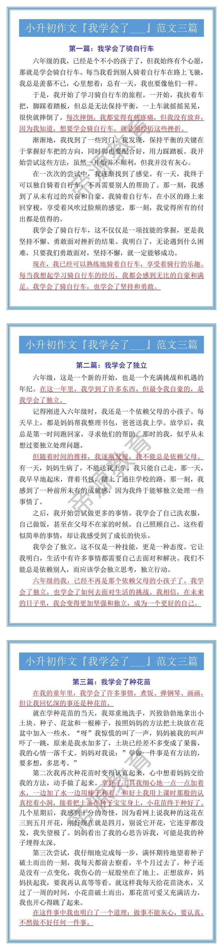 小升初作文『我学会了___』范文三篇